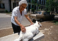 havana, cuba, august 1993