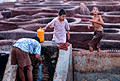 tannery, marakech, morocco, august 2001