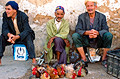 poultry souk, fez, morocco, august 2001